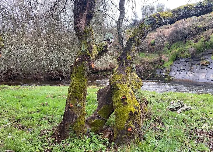 Casa Naturae Casa de Férias